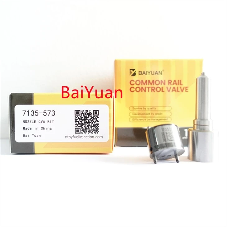 Kit Pembaikan 7135-573 Untuk Penyuntik Delphi